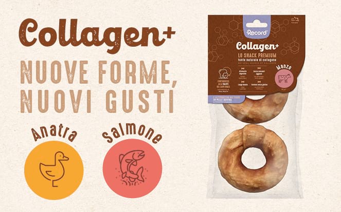 Lettiere vegetali