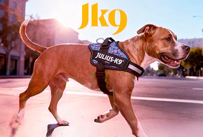 banner-mobile-jk9-record