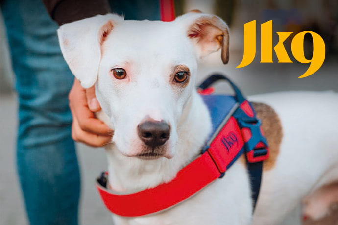Julius K9 pettorine