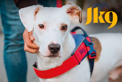 Julius K9 rivenditore
