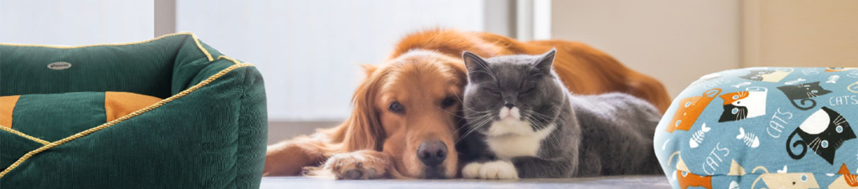 Cucce da interno per cani e gatti 