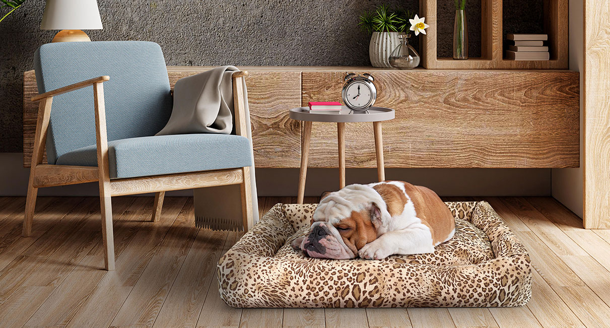 Cucce da interno per Cani di design