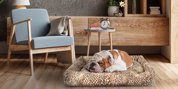 Cucce per Cani di Design: quando la funzionalità si coniuga all'Home Design